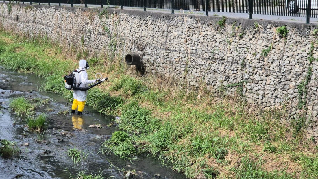 Mogi intensifica ações de combate a escorpiões em Braz Cubas 