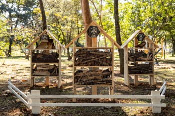 Itaquá inaugura hotel de insetos para conservação da biodiversidade