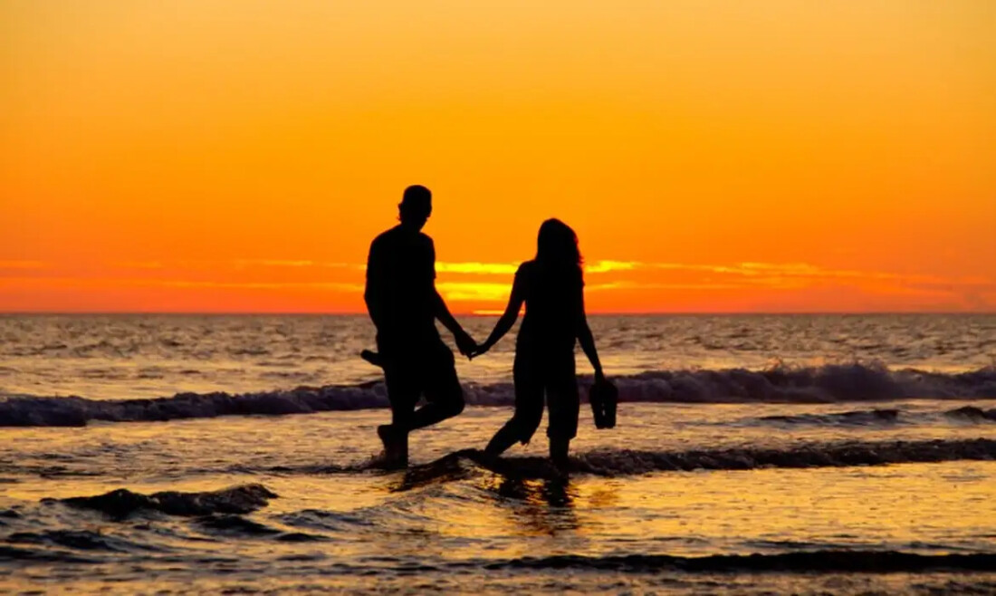 Hoje é Dia: namorados, meio ambiente e trabalho infantil são destaques