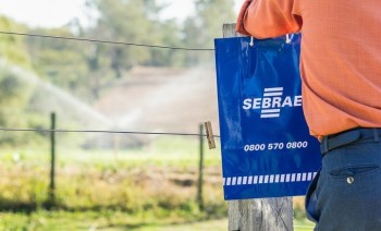 Programa de inovação do Sebrae-SP tem 60 vagas para produtores rurais