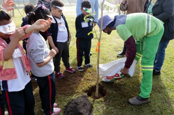Meio Ambiente inicia questionário para ouvir a população sobre arborização urbana