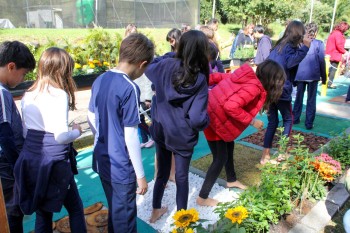 Alunos de São Paulo escolhem Poá para pesquisa sobre educação de qualidade