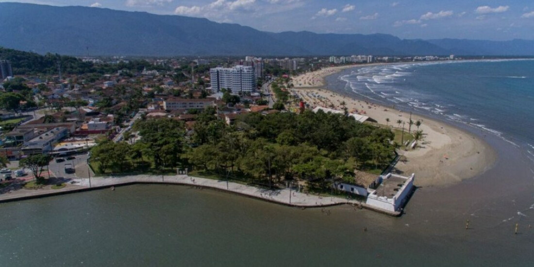 Litoral paulista: em duas semanas, 15 golfinhos são encontrados mortos