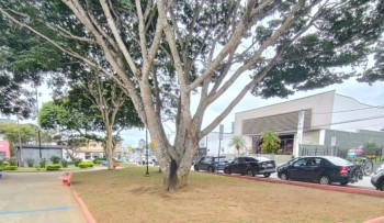 Áreas em Mogi estão disponíveis para adoção pelo programa Adote Uma Praça