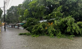Defesa Civil Alerta é lançado no Nordeste para notificar riscos