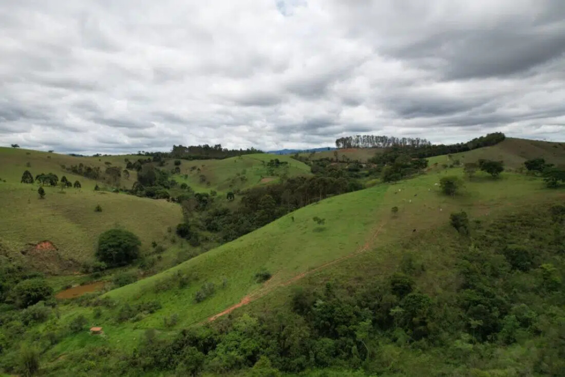 Inscrições para concurso fotográfico sobre Mata Atlântica vão até domingo (22) 