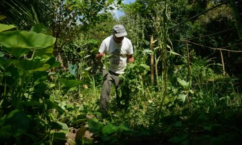 Edital seleciona 36 projetos para fortalecer agricultura familiar