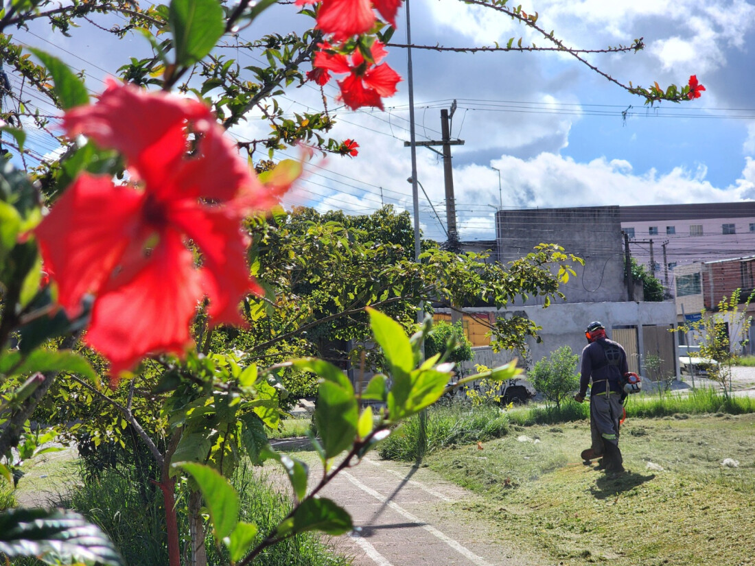 Mais de cem espaços verdes de lazer recebem cuidados do Meio Ambiente no ano