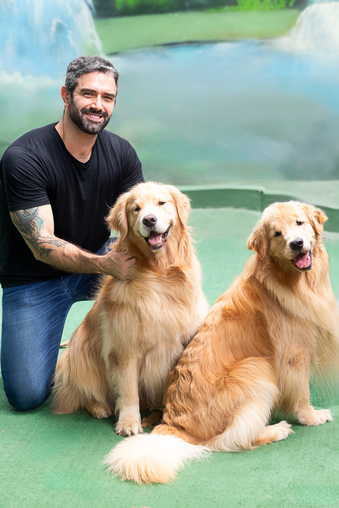 Nova legislação e alta demanda exigem preparo de tutores de pets nas férias 