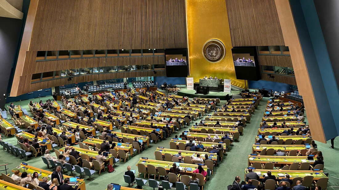 LBV faz recomendações de boas práticas durante Fórum da ONU na próxima semana 