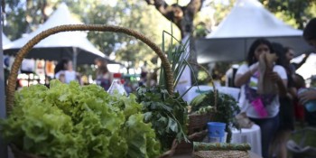 Programa convoca jovens a desenvolver soluções sustentáveis globais