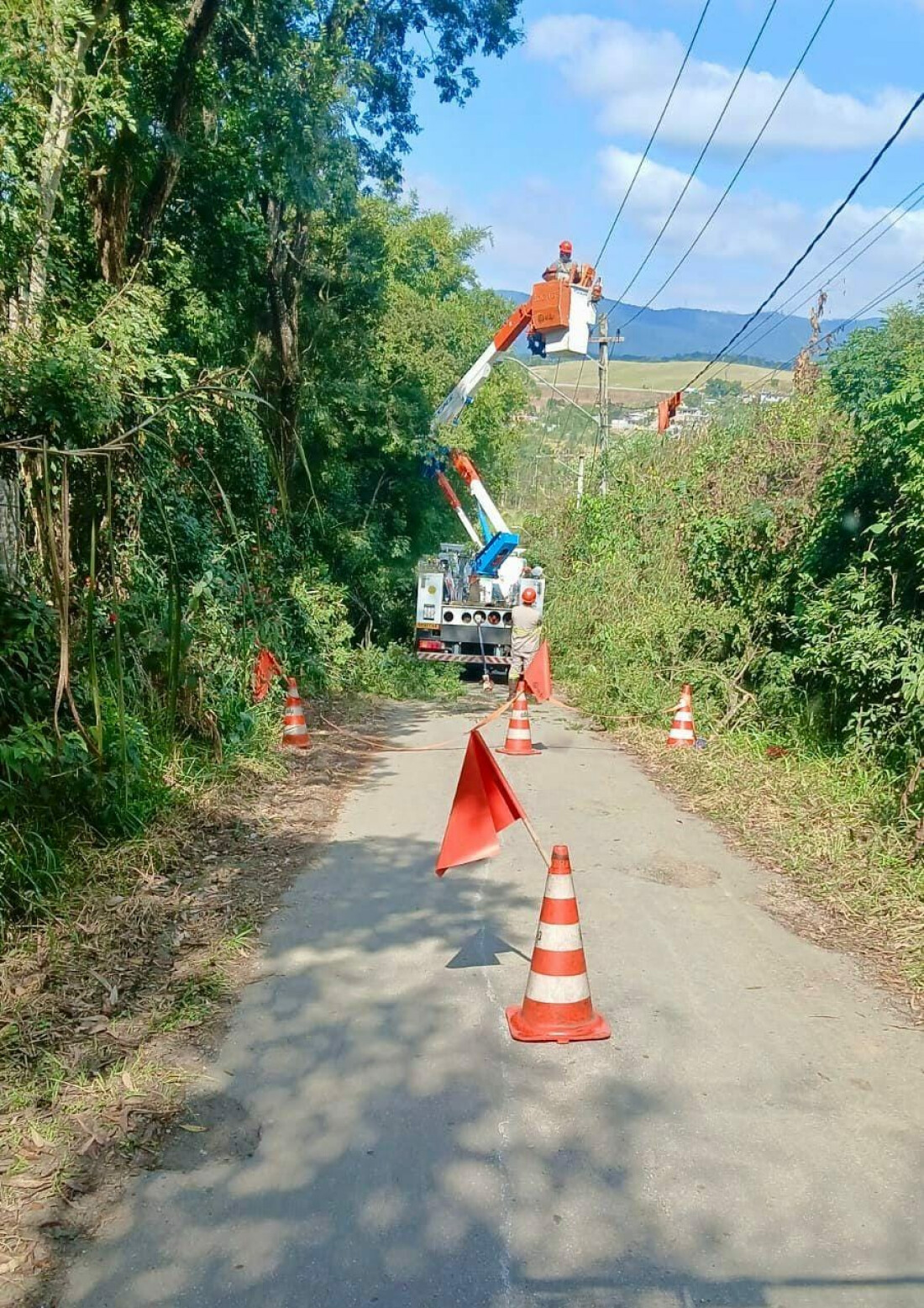 EDP e Prefeitura de Mogi realizam mutirão de poda de árvores em estradas 