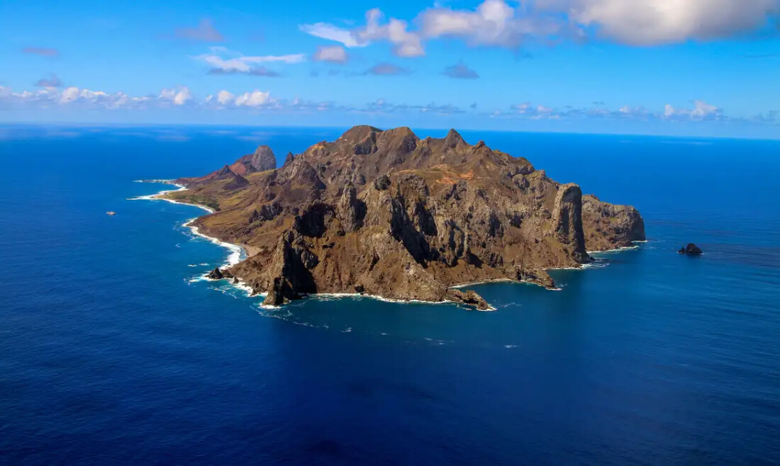 Ilha capixaba aumenta flora nativa e é modelo de restauração ambiental