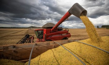 Produção de grãos deve crescer 14% e chegar a 340 milhões de toneladas