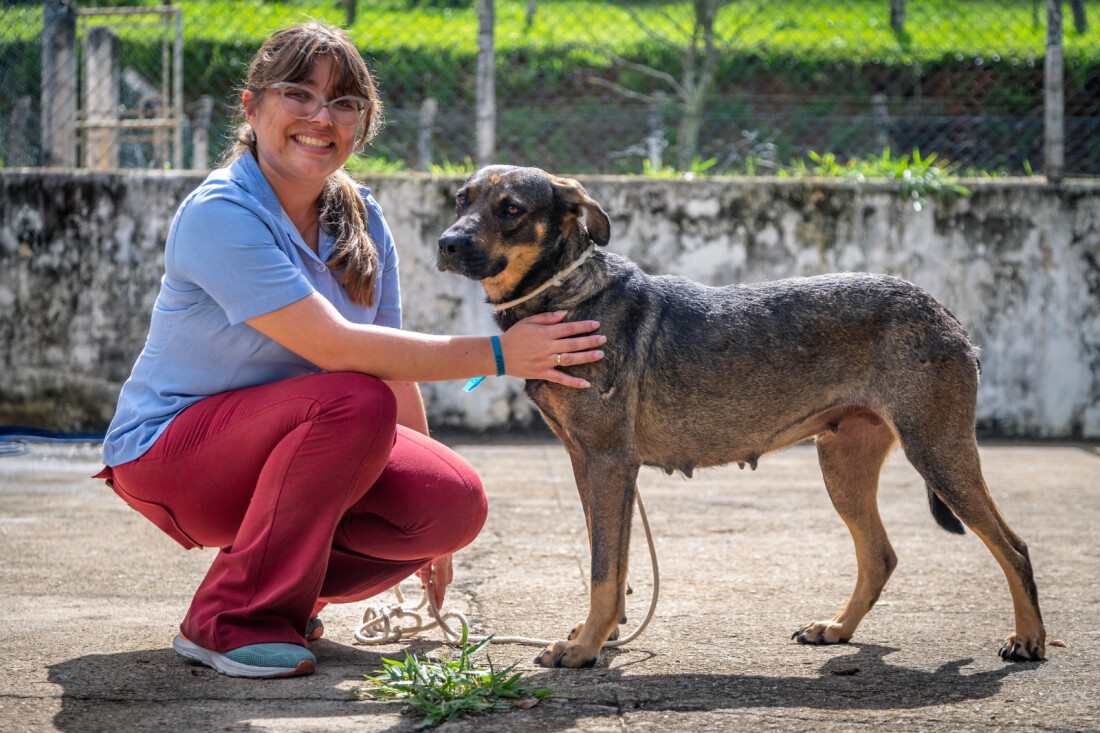  Guararema reforça importância de cuidados com cães e gatos durante o inverno