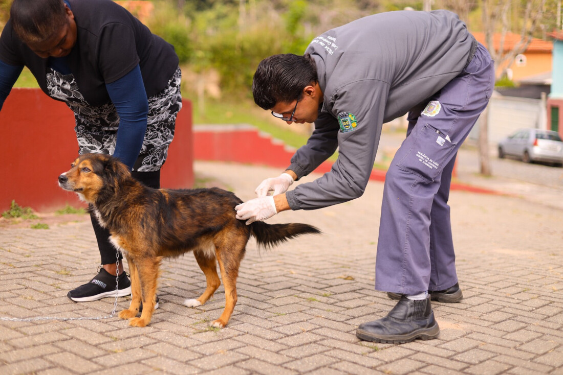 Vacinação antirrábica segue nos bairros de Guararema nesta sexta-feira (25)