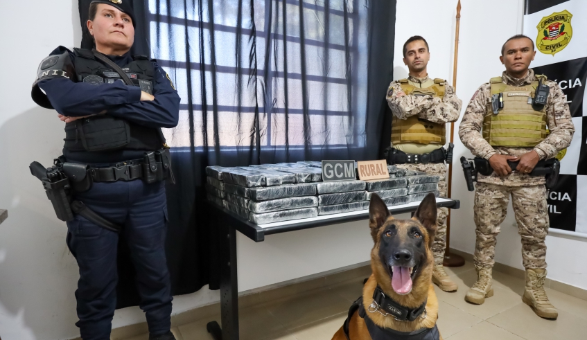 Guarda Civil Municipal apreende 120 quilos de maconha em área de mata de Mogi
