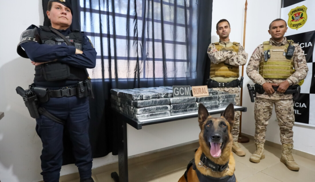 GCM de Mogi apreende 120 quilos de maconha em área de mata da cidade