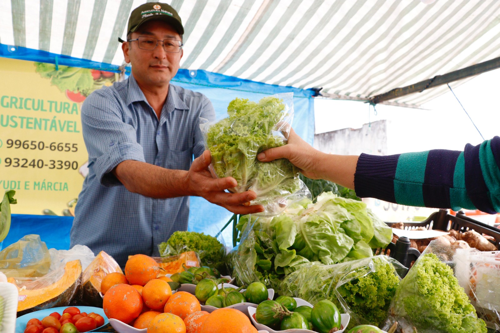 Suzano se destaca pela oferta de produtos agroecológicos e orgânicos nas feiras livres