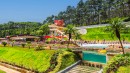 Magic City oferece entrada gratuita para aniversariantes de agosto