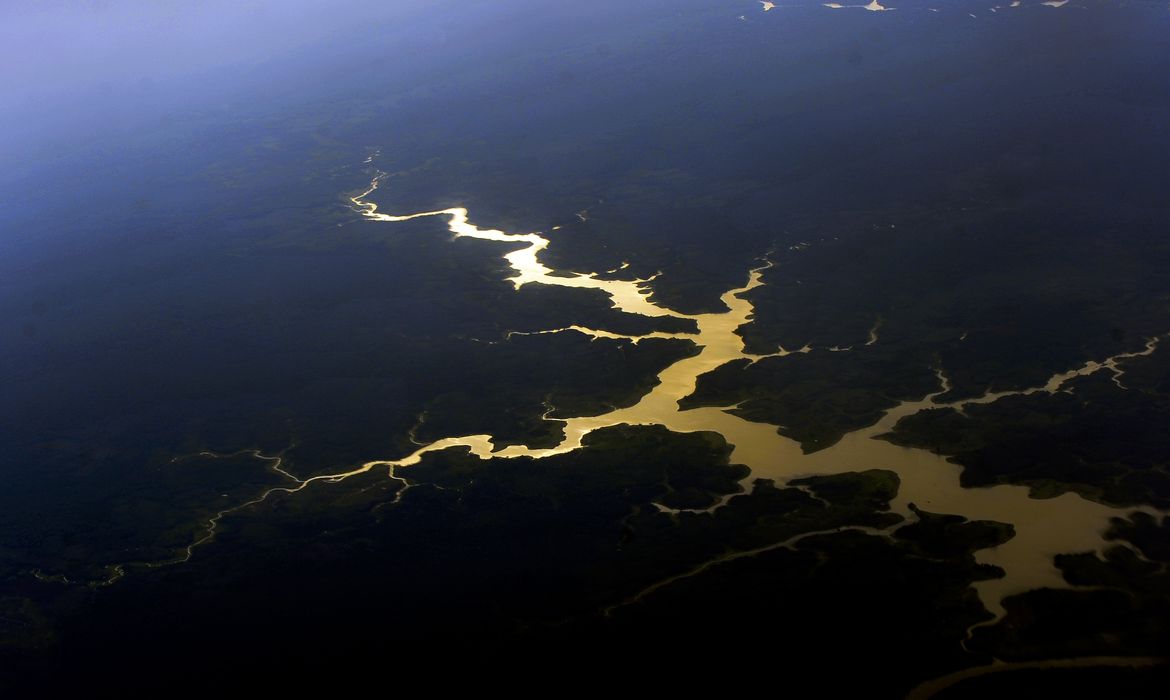 Fundo Amazônia completa 17 anos com novos investimentos