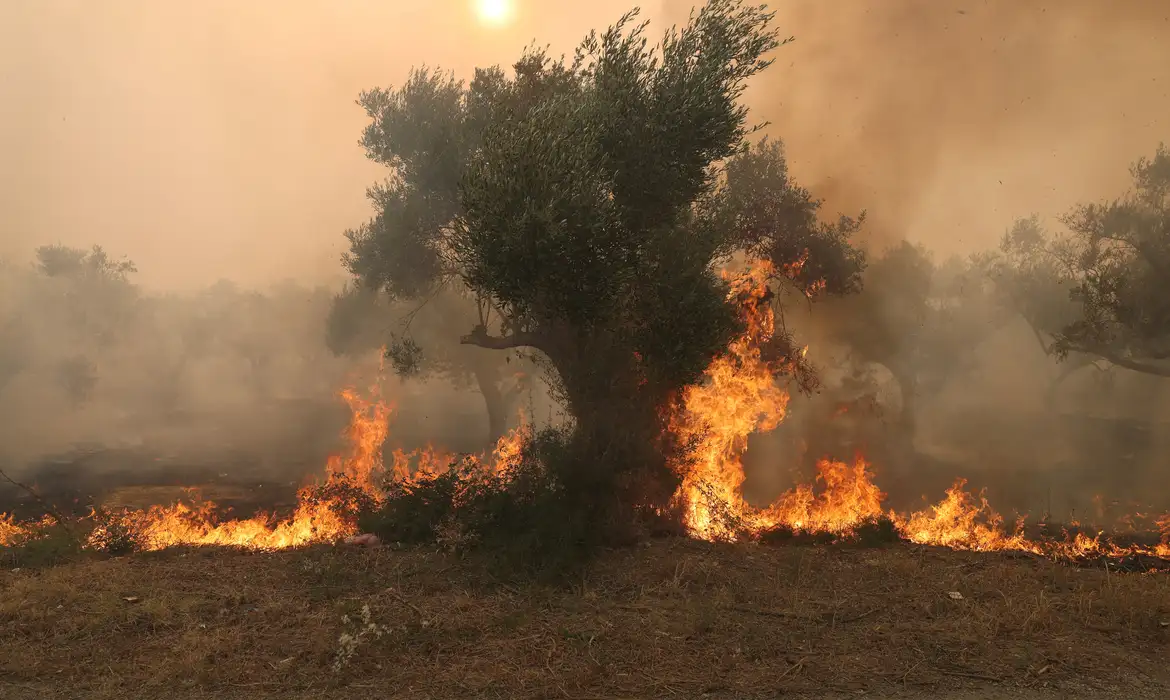 Bombeiro morre na Espanha em meio a incêndios florestais