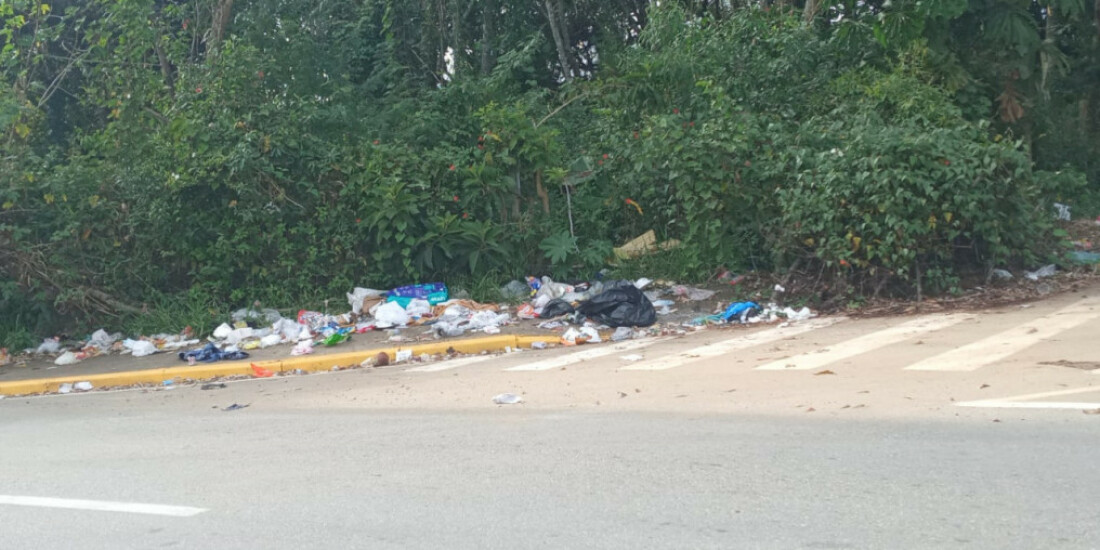 Moradora reclama de descarte irregular de lixo