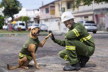 Neoenergia Elektro lança campanha de segurança com a rede elétrica