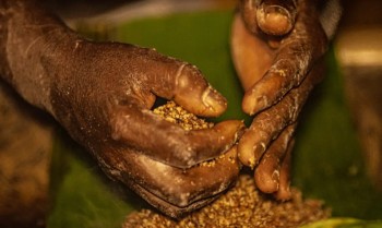 Grileiros ameaçam pesquisadores do Incra em área rural de Goiás