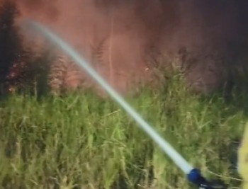Incêndio em vegetação mobiliza Bombeiros e é controlado em Mogi