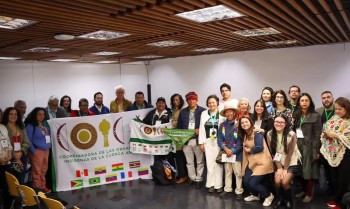 Organizações sociais querem participação na governança da OTCA