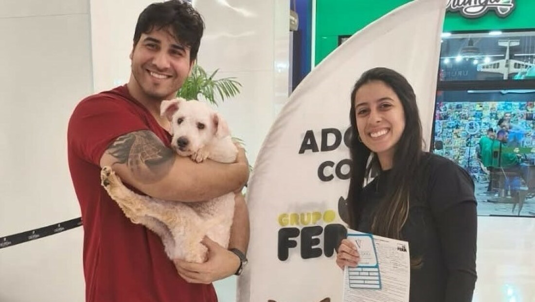 Mogi tem novo evento de adoção de cães e gatos neste sábado
