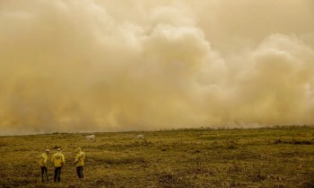 Agosto mantém baixos índices de queimadas após semana crítica