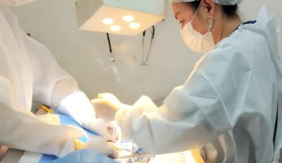 Mogi realiza castração de gatos em área com transmissão ativa de esporotricose