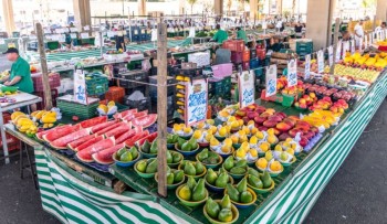 Mogi realiza 1.500 feiras por ano, atendendo 1,3 milhão de pessoas