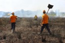 Defesa Civil de Itaquá age com rapidez para conter fogo em área de 2 mil m²