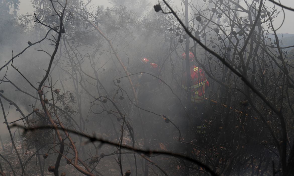 UE: incêndios florestais já queimaram mais de 1 milhão de hectares