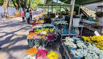 Agricultura abre credenciamento para comércio eventual no período de Finados