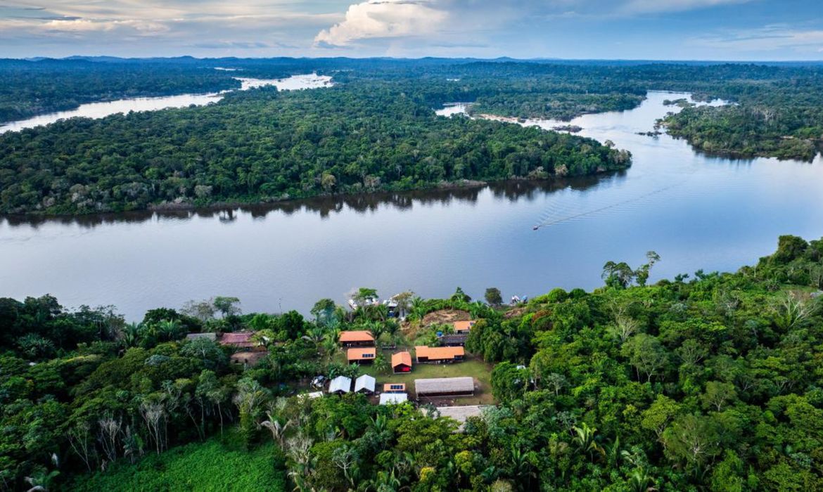 BNDES lança edital voltado para recuperação da floresta amazônica
