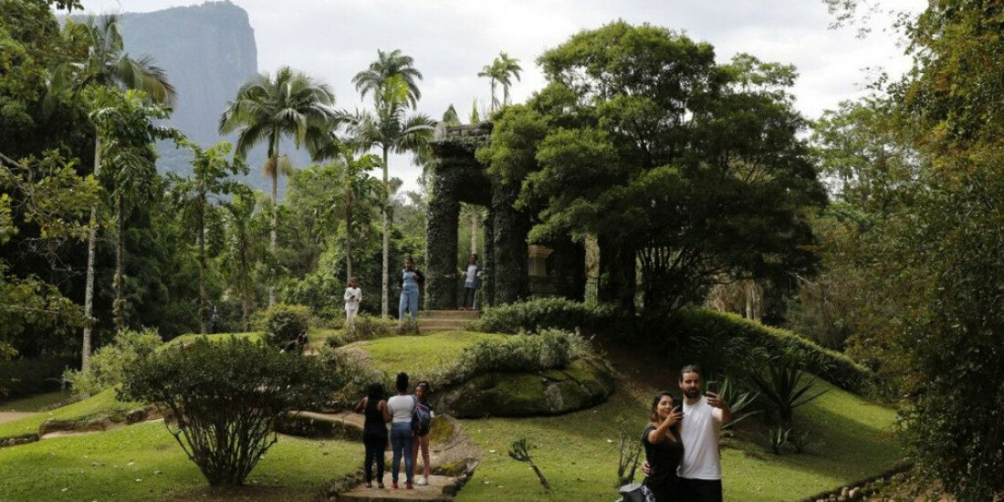 Jardim Botânico do Rio comemora 200 anos de ciência da flora no país