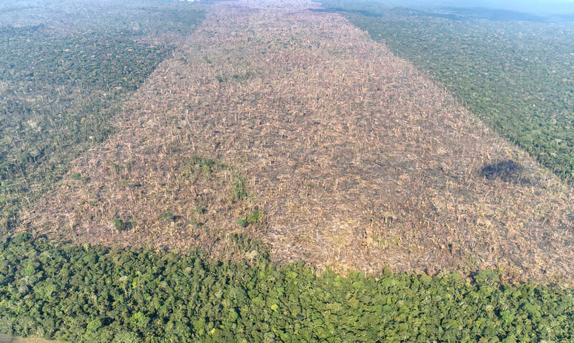 MMA e Inpe lançam sistema para monitoramento diário da Amazônia