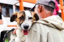 Ferraz realizará o 1° PetPalooza com muita diversão e atrações diversas