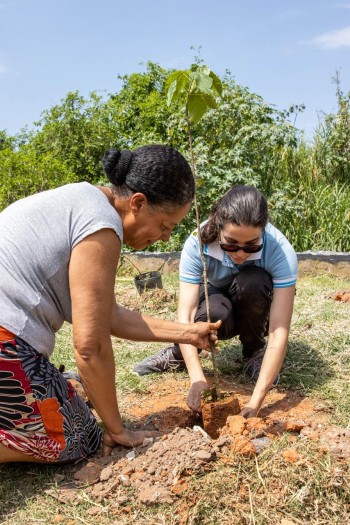 Itaquá promove Semana da Árvore com plantio e ações de conscientização ambiental