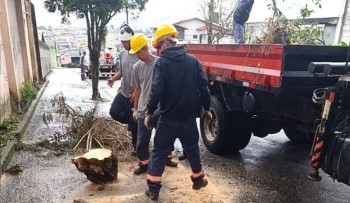 Mogi se mobiliza para atender ocorrências após ventos fortes e chuva 