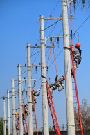  Rodeio dos Eletricistas da EDP será nesta terça-feira (30) em Mogi 