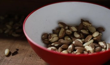 Agricultura familiar do Nordeste vai à maior feira mundial alimentos