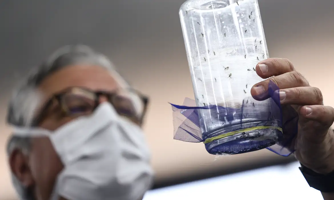 Fábrica de mosquitos oferece tecnologias para redução da dengue