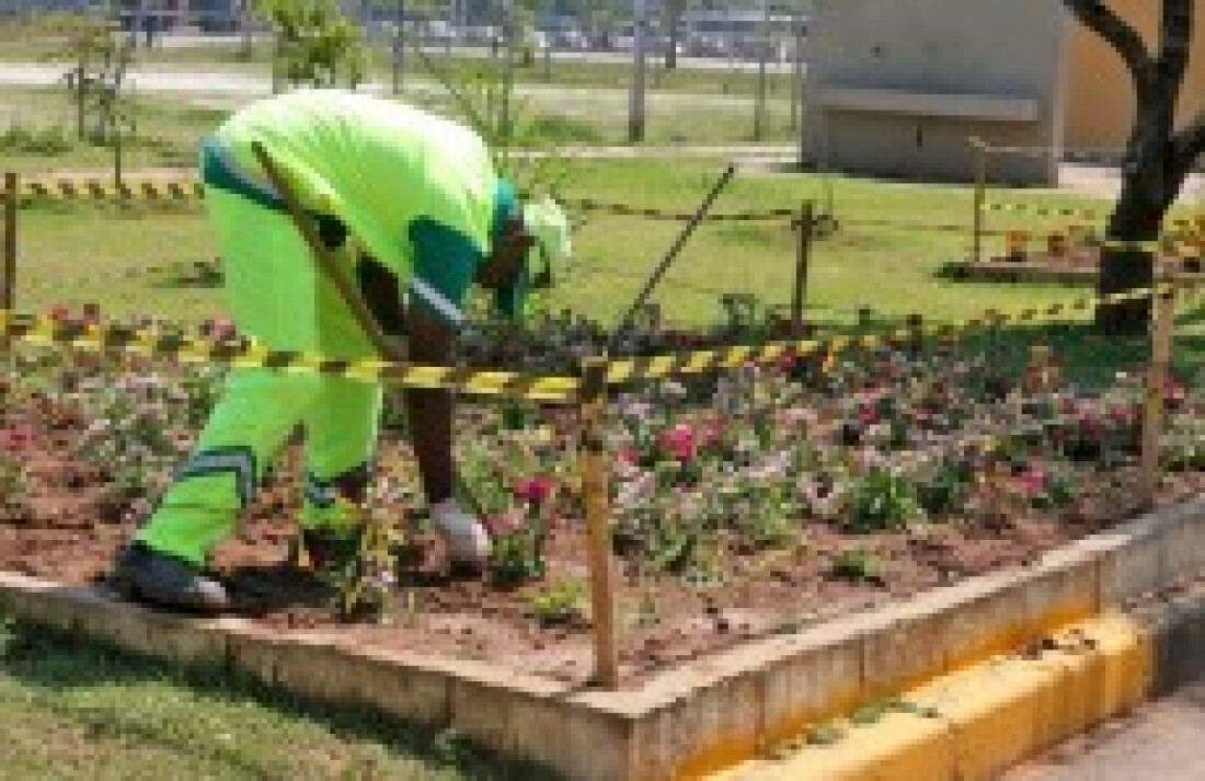Parque Botyra Camorim Gatti recebe trabalho integrado de conservação e qualificação