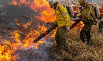 Chuva ajudou no combate a incêndios na Chapada dos Veadeiros