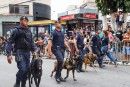 Ferraz comemora 72 anos com desfile cívico-militar, bolo, shows e atrações